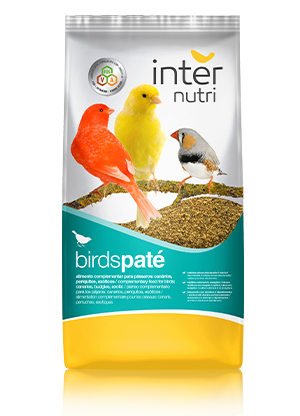 pasta-cria-amarilla-700g